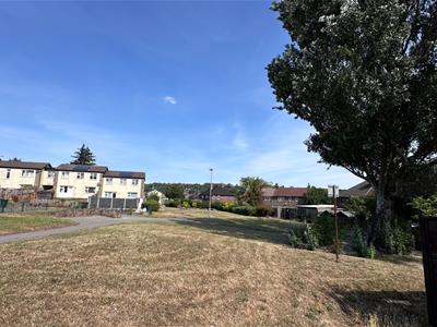 Picture 23